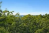 5 Tanjenong Place, Burleigh Heads, Qld 4220-Image