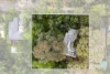 5 The Crescent, Marryatville, SA 5068-Image