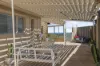 5 Third Avenue, Burns Beach, WA 6028-Image