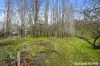 5 Townsend Street, Mount Torrens, SA 5244-Image