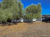 5 Tremont Place, Craigie, WA 6025-Image