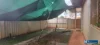 5 Turro Place, Newman, WA 6753-Image