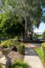 5 Vineys Lane, Dural, NSW 2158-Image