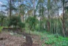 5 Vista Street, Olinda, Vic 3788-Image