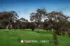 5 Walnut Road, Greensborough, Vic 3088-Image