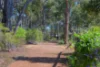 5 Wandoo Place, Cowaramup WA 6284-Image