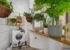 5 Waratah Street, Maryborough, Qld 4650-Image