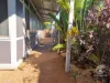 5 Warrida Street, Baynton, WA 6714-Image