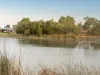 5 Waterhaven Way, Lyndhurst, Vic 3975-Image