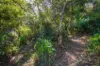 5 Wattle Avenue, Belgrave, Vic 3160-Image