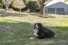 5 Weetman Street, Legana, Tas 7277-Image
