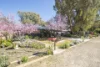 5 West Terrace, Laura, SA 5480-Image