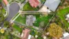 5 Wilde Court, Mooroolbark, Vic 3138-Image