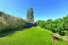 5 Wilson Street, Maroubra, NSW 2035-Image