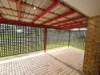 5 Wrent Court, Bundamba, Qld 4304-Image
