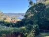 5 Wyeebo Street, Merimbula, NSW 2548-Image