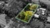 5 Yarrimbah Drive, Nerang, Qld 4211-Image