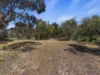 50 & 52 Maitland Road, Minlaton, SA 5575-Image