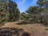 50 & 52 Maitland Road, Minlaton, SA 5575-Image