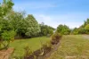 50 Allison Avenue, Riverside, Tas 7250-Image