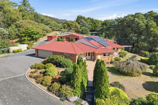 50 Barnes Road, South Spreyton, Tas 7310