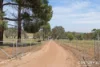 50 Boyagerring Road, Dumbarton, WA 6566-Image