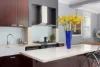 50 Cavendish Street, Stanmore, NSW 2048-Image