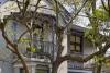 50 Cavendish Street, Stanmore, NSW 2048-Image