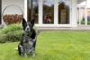 50 Clohesy Road, Gordon, Vic 3345-Image