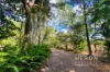 50 Florenz Court, Virginia, NT 0834-Image
