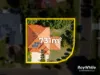50 Floribunda Street, Sunnybank Hills, Qld 4109-Image
