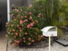 50 Freetail Lane, Baynton, WA 6714-Image