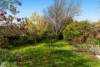 50 Garnet Street, Niddrie, Vic 3042-Image