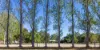 50 Glenview, Barham NSW 2732-Image