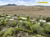 50 Gowrie Street, Kingsthorpe, Qld 4400-Image