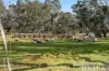 50 Hearls Road, Flaxman Valley, SA 5235-Image