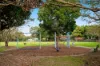 50 Jacaranda Drive, Albany Creek, Qld 4035-Image