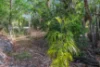50 Jacomb Place, Virginia, NT 0834-Image