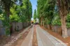 50 Jensen Street, Hughes, ACT 2605-Image