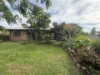 50 Kennedy Street, Euroa VIC 3666-Image
