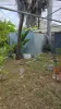 50 Kent Lane, Rockhampton City, Qld 4700-Image