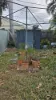 50 Kent Lane, Rockhampton City, Qld 4700-Image