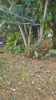 50 Kent Lane, Rockhampton City, Qld 4700-Image