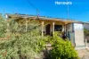 50 King Street, Mingenew, WA 6522-Image