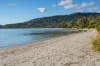 50 Lagoon Road, White Beach, Tas 7184-Image