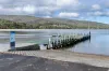 50 Lagoon Road, White Beach, Tas 7184-Image