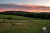 50 Longs Road, Yellingbo, Vic 3139-Image