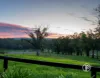 50 Longs Road, Yellingbo, Vic 3139-Image