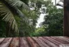 50 Maple Terrace, Tully, Qld 4854-Image