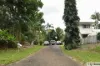 50 Maple Terrace, Tully, Qld 4854-Image